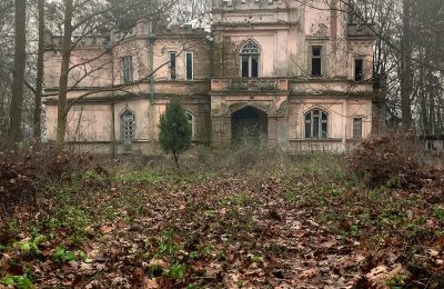 Schloss kaufen Cisie-Zagrudzie, Masowien,, Foto 4/4