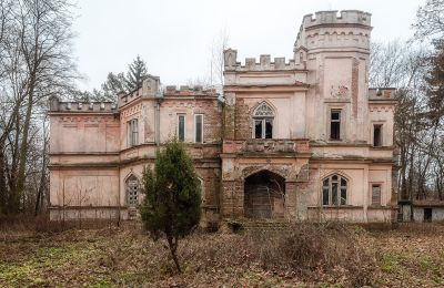 Schloss kaufen Cisie-Zagrudzie, Masowien,, Foto 1/4