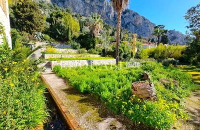 Historisk villa købe Menton, Provence-Alpes-Côte d'Azur, Have