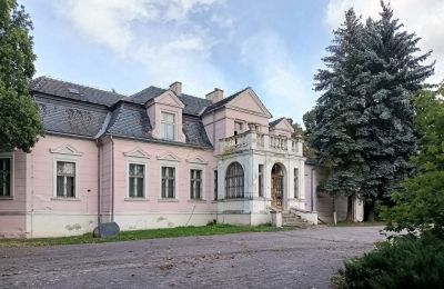 Herrgård till salu Manieczki, Parkowa 4, województwo wielkopolskie, Utsikt utifrån