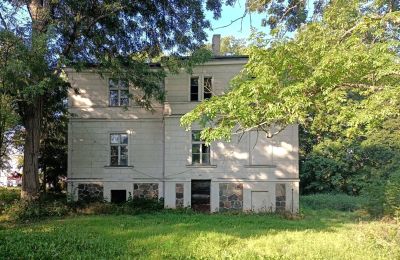 Herrenhaus/Gutshaus kaufen Goniembice, Dwór w Goniembicach, Großpolen, Seitenansicht