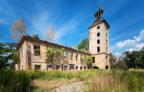  - Schlossruine in Florsdorf (Żarska Wieś)