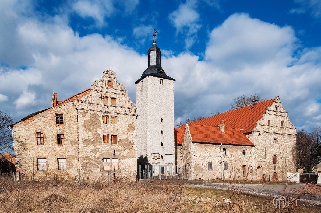 Burg Schneidlingen, Salzlandkreis, Schneidlingen