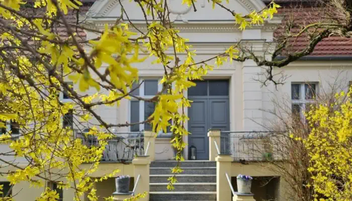 Historische Villa kaufen 16945 Meyenburg, Brandenburg,  Deutschland